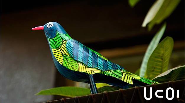 Little Birdie outsude